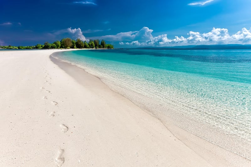Sustainable Beach Cleanup